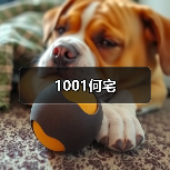 1001何宅（图2）