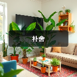 朴舍（图4）