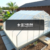 木影悠然(图2) 木影悠然(图2)