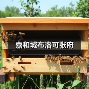 嘉和城布洛可张府（图1）