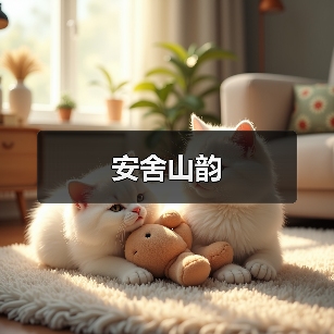 空间流动性与功能美学的平衡设计