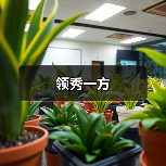 市中心精致典雅设计案例赏析，诠释优雅神秘空间美学