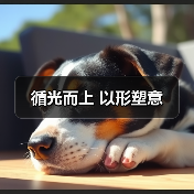 循光而上 以形塑意(图4) 循光而上 以形塑意(图4)
