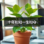 十年相知一生相守（图2）