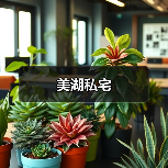 美湖私宅（图2）
