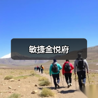 敏捷金悦府（图2）