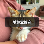敏捷金悦府（图4）