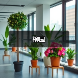 柳园（图2）