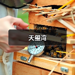 低调奢华设计风格：品质与格调的家居艺术展现