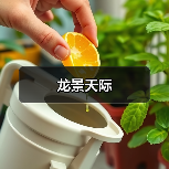 龙景天际（图4）