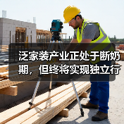 泛家装产业正处于断奶期,但终将实现独立行走(图2) 泛家装产业正处于断奶期,但终将实现独立行走(图2)