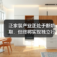泛家装产业正处于断奶期,但终将实现独立行走(图4) 泛家装产业正处于断奶期,但终将实现独立行走(图4)