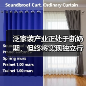 泛家装产业正处于断奶期,但终将实现独立行走(图3) 泛家装产业正处于断奶期,但终将实现独立行走(图3)