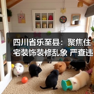四川省乐至县:聚焦住宅装饰装修乱象 严查违法违规行为(图2) 四川省乐至县:聚焦住宅装饰装修乱象 严查违法违规行为(图2)