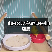 电白区沙院镇那兴村自建房（图4）