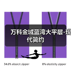 万科金域蓝湾大平层-现代简约（图3）