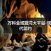 万科金域蓝湾大平层-现代简约（图2）