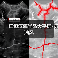 仁恒滨海半岛大平层-奶油风（图2）