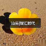 汕头|智汇时代(图4) 汕头|智汇时代(图4)