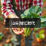 汕头|智汇时代(图3) 汕头|智汇时代(图3)