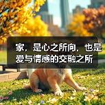 家，是心之所向，也是爱与情感的交融之所（图4）