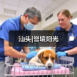 汕头|誉境阳光（图4）