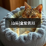 汕头|金紫名邦（图4）