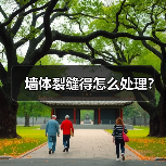 墙体裂缝得怎么处理?(图1) 墙体裂缝得怎么处理?(图1)