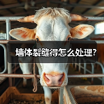 墙体裂缝得怎么处理?(图2) 墙体裂缝得怎么处理?(图2)