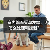 室内墙面受潮发霉,该怎么处理和翻新?(图2) 室内墙面受潮发霉,该怎么处理和翻新?(图2)