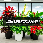墙体裂缝得怎么处理?(图4) 墙体裂缝得怎么处理?(图4)