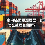 室内墙面受潮发霉,该怎么处理和翻新?(图4) 室内墙面受潮发霉,该怎么处理和翻新?(图4)