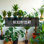 长冠御龙府（图2）