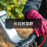 长冠御龙府（图3）