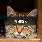 极简风格设计，打造舒适高级居住空间