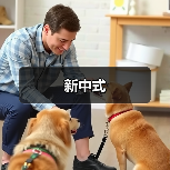 新中式（图3）