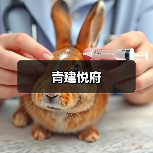 青建悦府（图2）