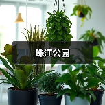 珠江公园（图2）