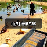 汕头|湾璟名筑（图4）