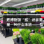 把博物馆“搬”进家里是一种什么体验——弧屏开卷，山水国风，演绎静谧之美（图1）