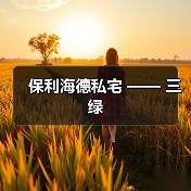 保利海德私宅 —— 三绿（图3）