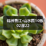 儿童房设计兼顾实用与成长，打造优雅舒适空间