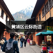 黄埔区云际街道（图3）