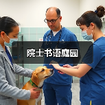 现代家居设计 空间布局与功能解析
