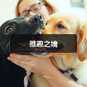 东方自然意境空间设计，融合唐诗宋词美学