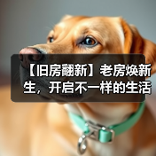 【旧房翻新】老房焕新生,开启不一样的生活方式(图1) 【旧房翻新】老房焕新生,开启不一样的生活方式(图1)