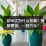 新中式为什么耐看?雅致素简,一眼万年!(图4) 新中式为什么耐看?雅致素简,一眼万年!(图4)