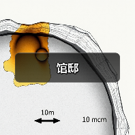 馆邸（图3）