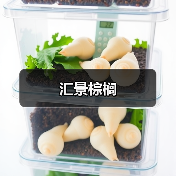 汇景棕榈（图3）