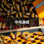 中海康成（图2）